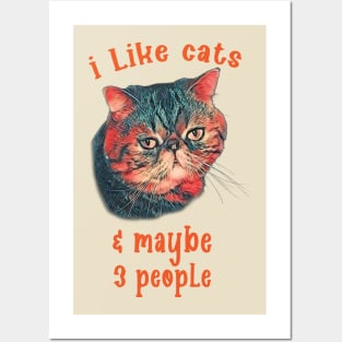 I Like Cats & Maybe 3 People Posters and Art